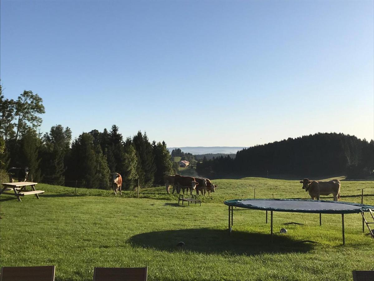 Gmeinder'S Landhaus Immenstadt im Allgäu Exteriör bild